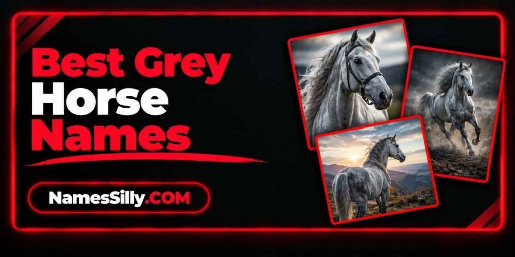 Best Grey Horse Names