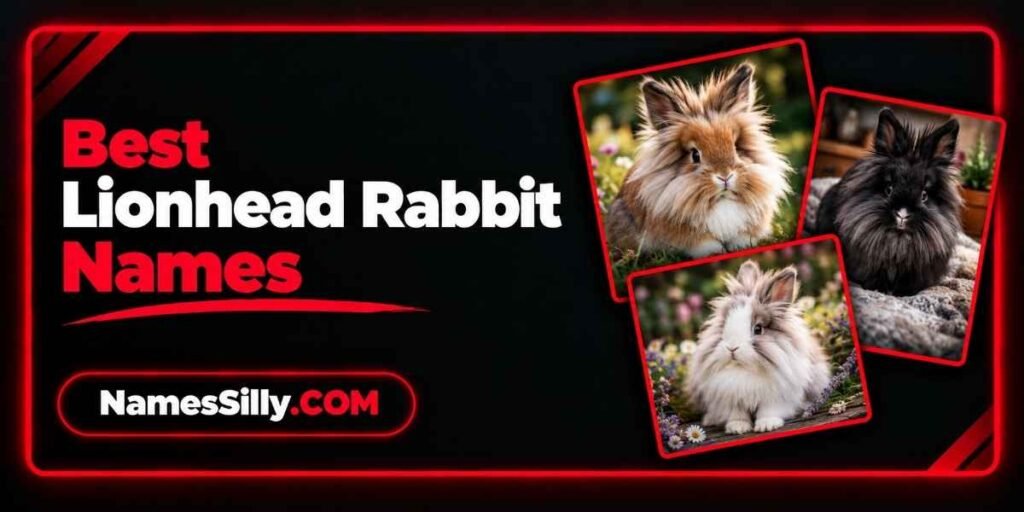Best Lionhead Rabbit Names