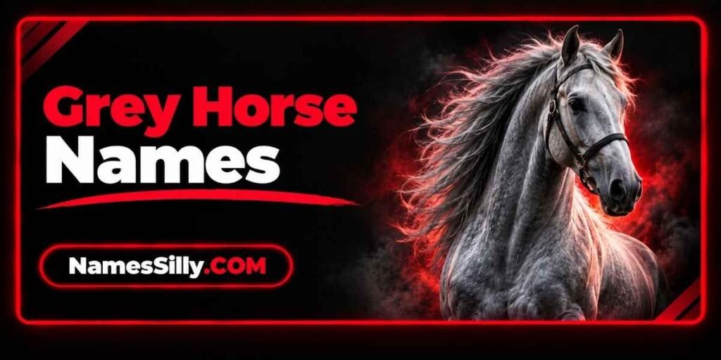 Grey Horse Names 